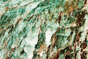 AP 124E1